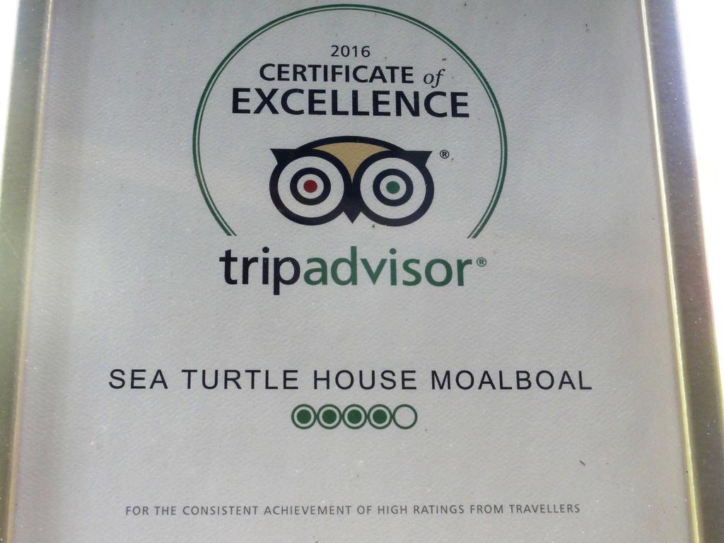Hotel Sea Turtle House Moalboal Exterior foto